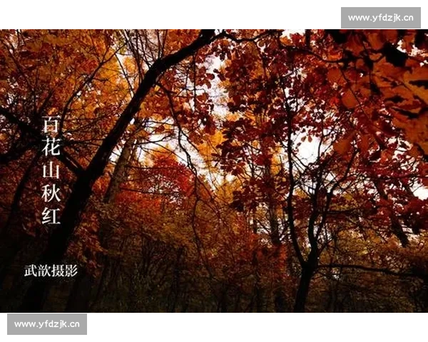 《我寄了一张卡片表达心意这首歌传递了浓浓的思念与温暖》